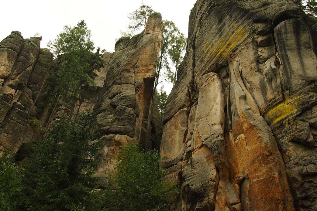 Repellat odio asperiores sint